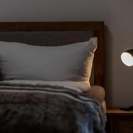 Hirsch Stadt 3 - Balkon Mit Flussblick - Parkplatz 巴特哈尔茨堡