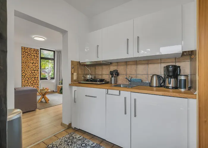 Apartamento Hirsch Stadt 3 - Balkon Mit Flussblick - Parkplatz