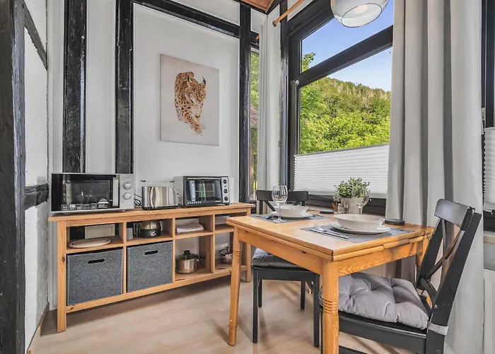 Hirsch Stadt 3 - Balkon Mit Flussblick - Parkplatz Apartamento *