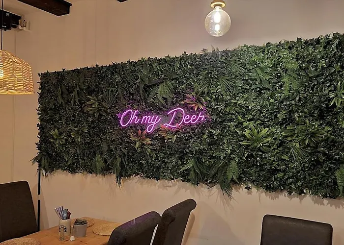 Hirsch Stadt 3 - Balkon Mit Flussblick - Parkplatz Bad Harzburg